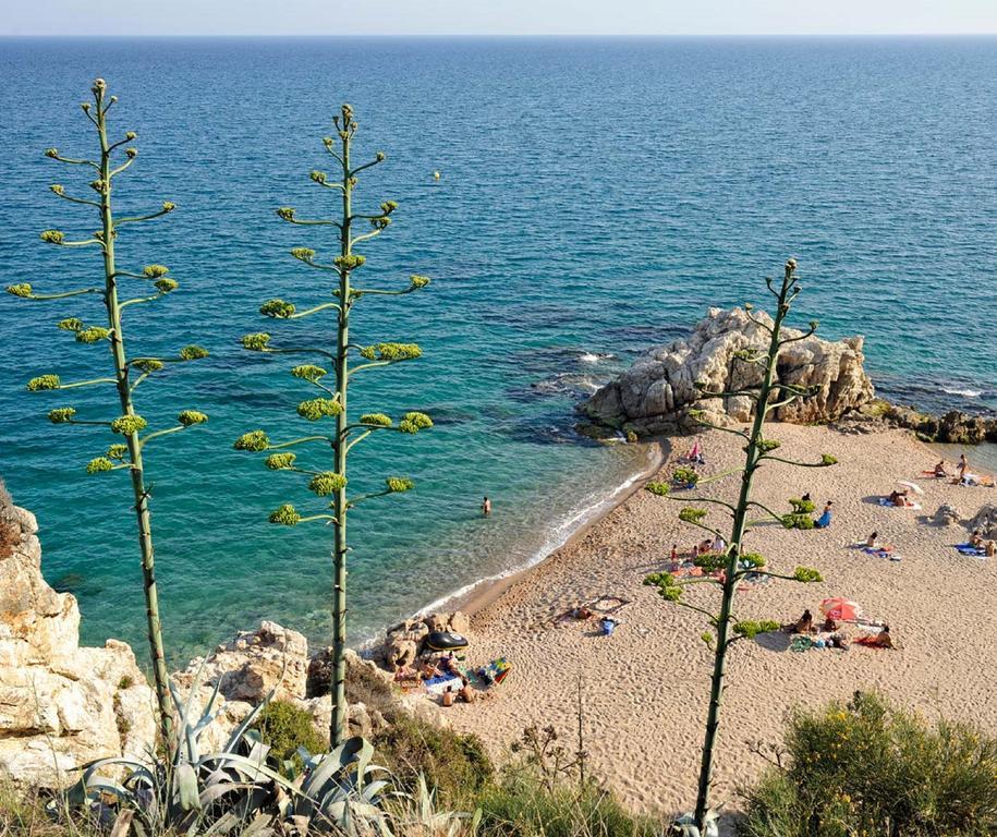 Raco D'En Pepe Hotell Calella Exteriör bild